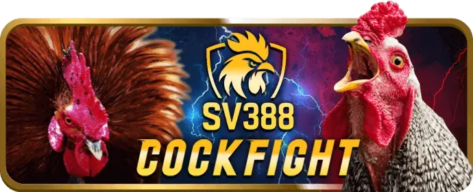 Bảo mật và an toàn DG88 Login