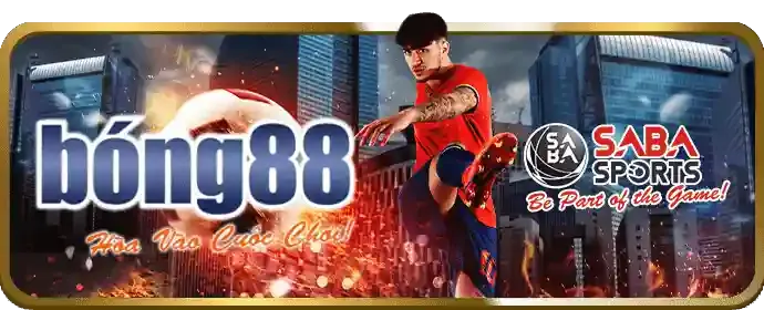 Đá Gà Trực Tuyến tại DG88